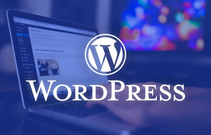 Wordpress Websites